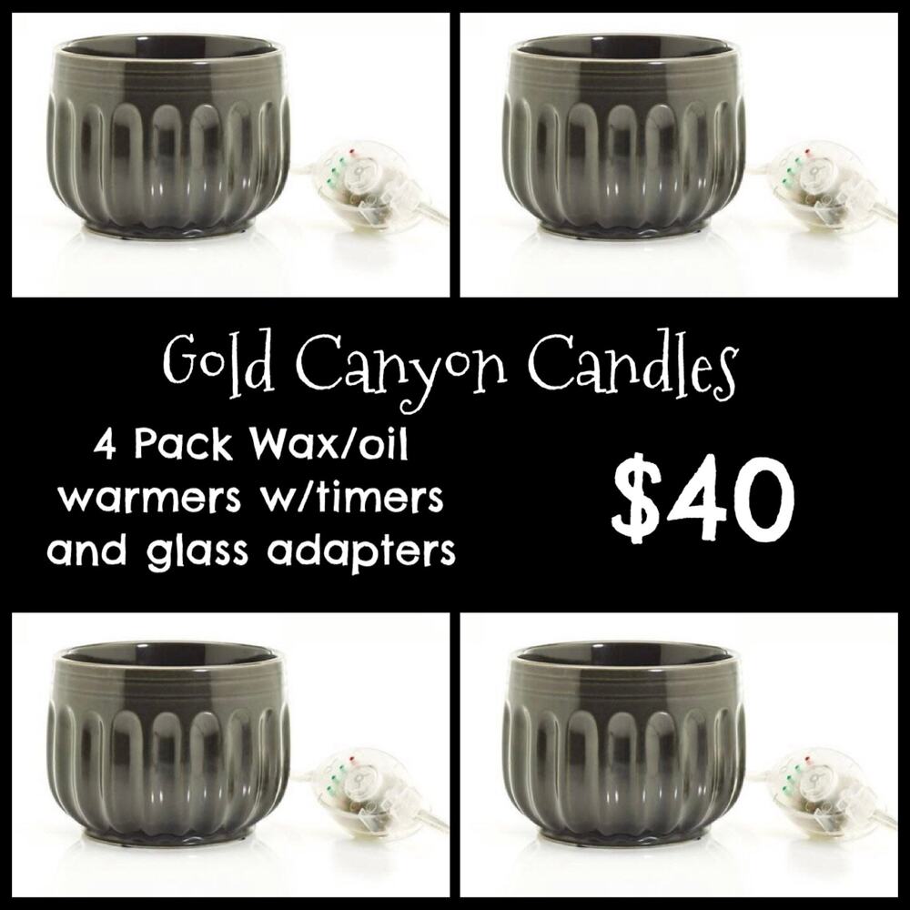 4 Gold Canyon Candle warmer Bundle with glass dish for oils waxmelts w/timer